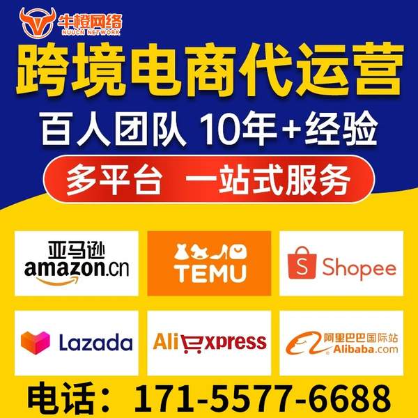 柳州电商代运营