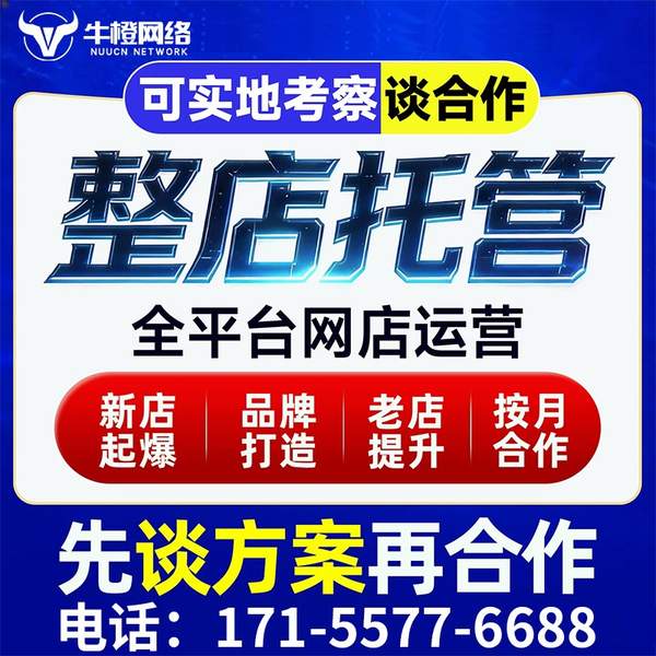 柳州电商代运营