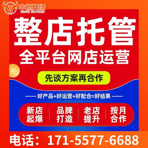 柳州电商代运营