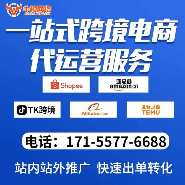 柳州电商代运营