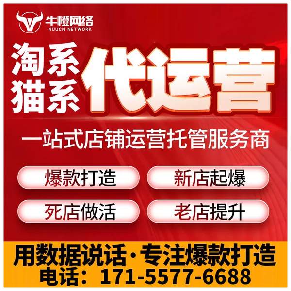 柳州电商代运营